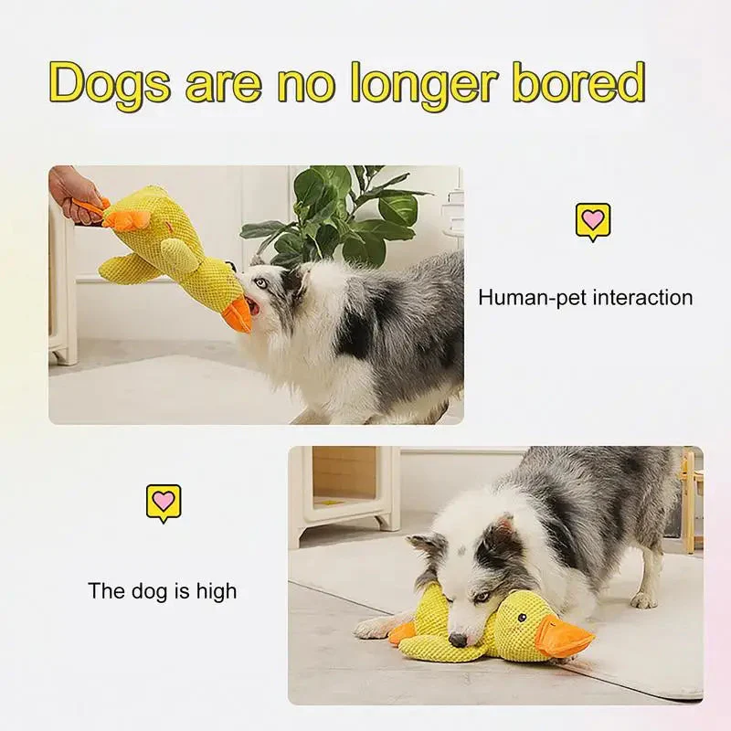 Productafbeelding 4