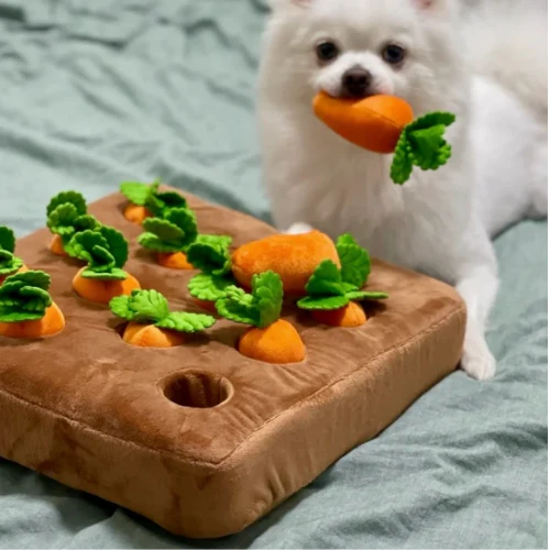 Miniatuur 1
