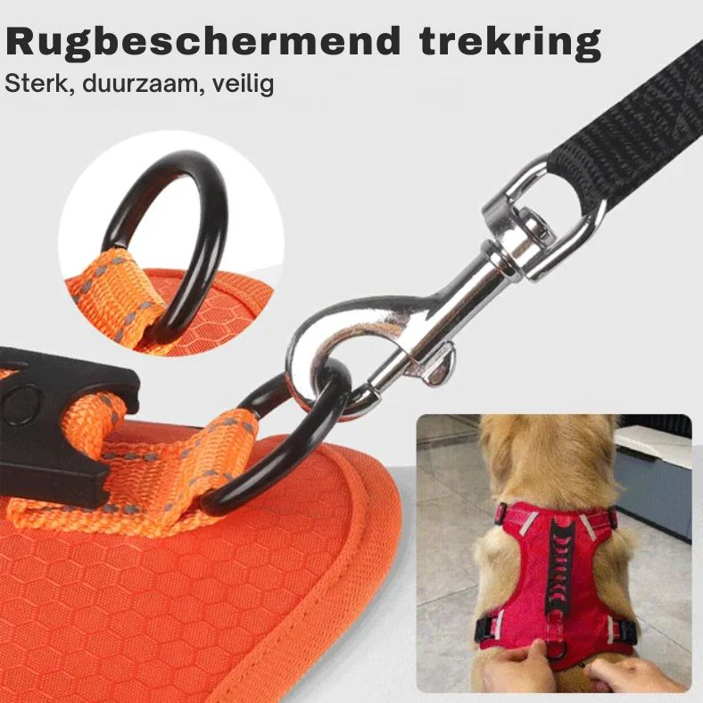 Productafbeelding 5