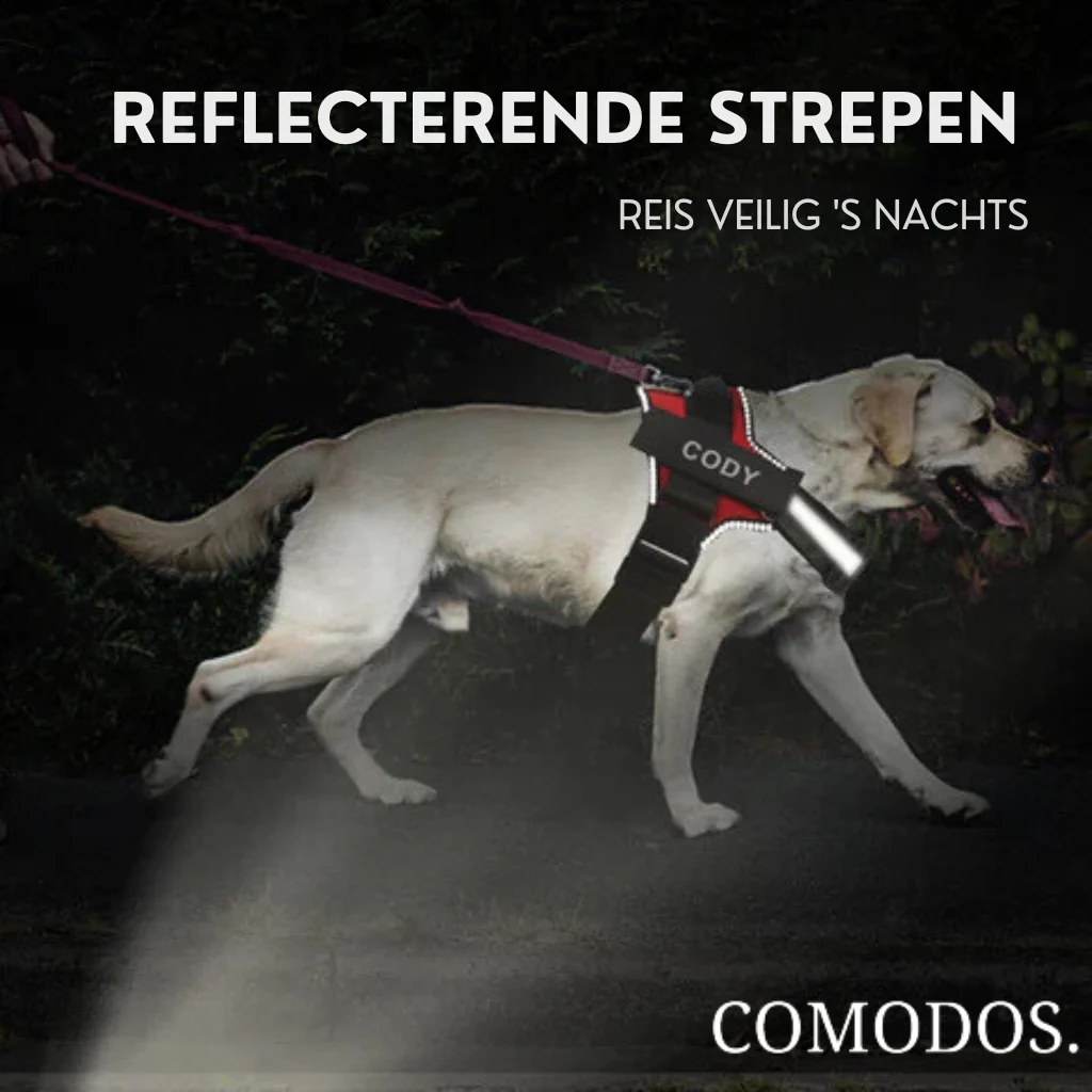 Productafbeelding 12